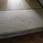 猫ちゃんの爪のひっかき傷です。