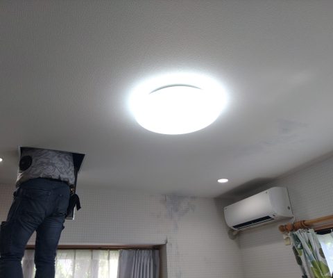 本日も元気よく作業中です！